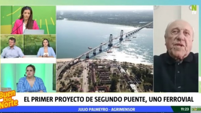Palmeyro: "Si las provincias se ponen las pilas, en 180 días se puede llamar a licitación para el segundo puente" 