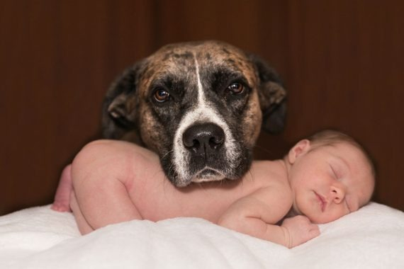 bebes&perros03.jpg