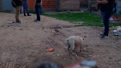 Cinco detenidos por un homicidio a tiros en el sur de Resistencia