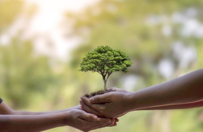 Los comienzos de los proyectos de protección ambiental en Argentina