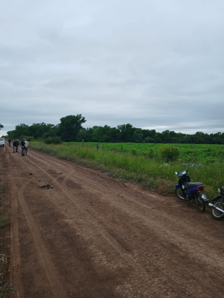 camino rural LB.jpeg