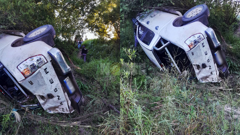 Un conductor volcó su camioneta tras esquivar caballos en la ruta: salió ileso