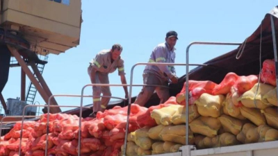 Un chaqueño logró la primera exportación argentina de zapallo anco coquena