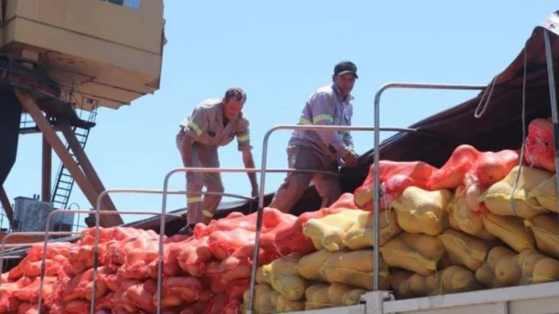 Un chaqueño logró la primera exportación argentina de zapallo anco coquena