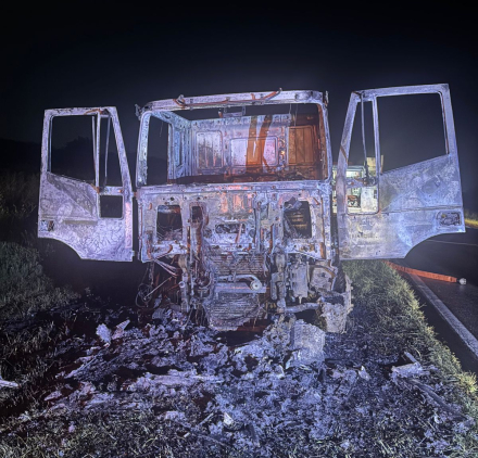 camion4.jpg