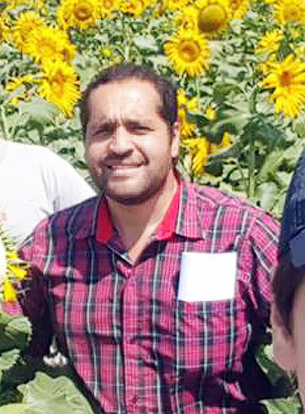 girasol2.jpg