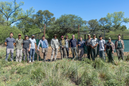 Equipo post liberación Guanacos - FRA.APN.jpg