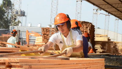 Preocupación social, productiva y en las pymes foresto industriales