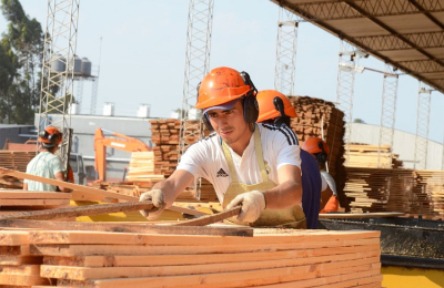 Preocupación social, productiva y en las pymes foresto industriales