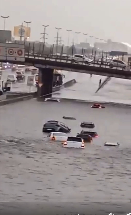 panamericana4.jpg