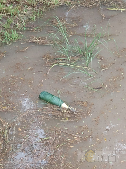 lluvia8.jpg