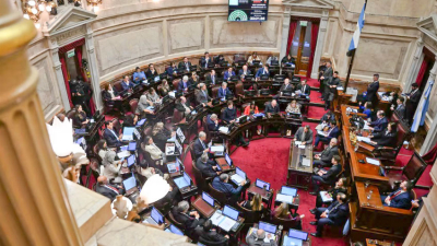 Debut chaqueño en el Senado, en una sesión clave por el Presupuesto 2026