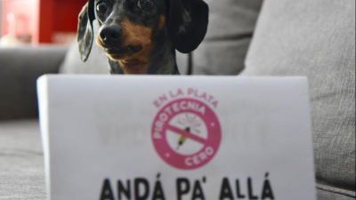 Convocan a una movilización para decir basta de pirotecnia