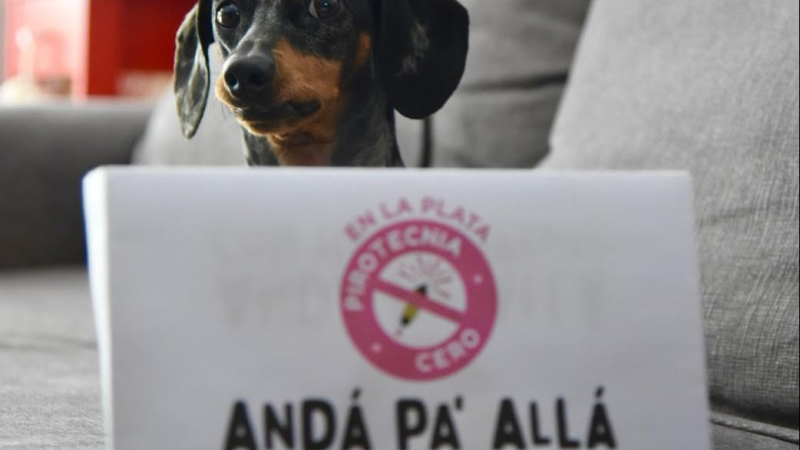 Convocan a una movilización para decir basta de pirotecnia