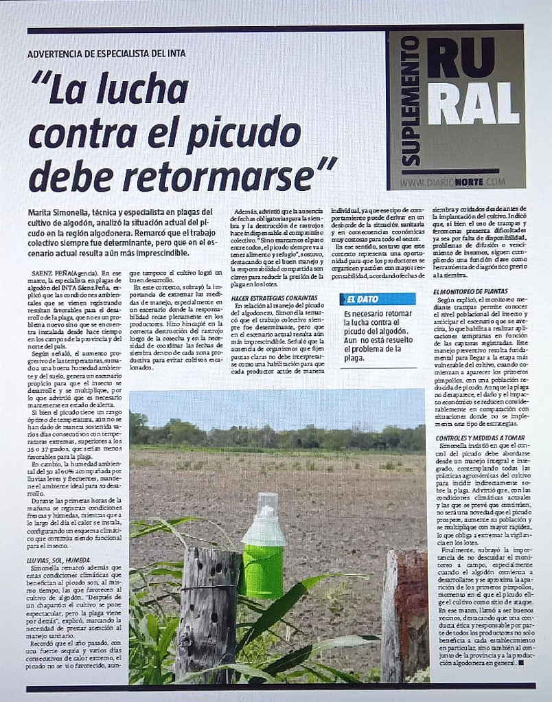 "La lucha contra el picudo debe retomarse" 