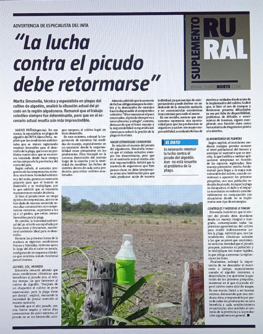 "La lucha contra el picudo debe retomarse" 
