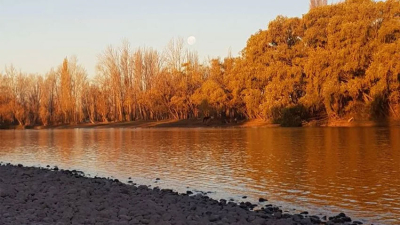 Murió un joven cuando nadaba en el río Limay