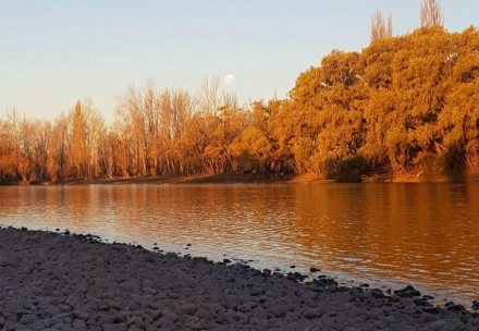 limay.jpg