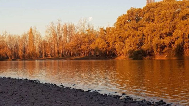 Murió un joven cuando nadaba en el río Limay