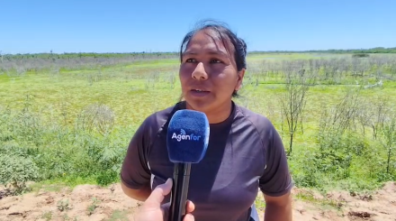 Juana Gonzalez Campo del Cielo .png