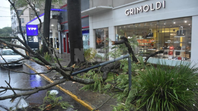 Persiste el alerta amarilla por tormentas: intensas lluvias y daños en Resistencia