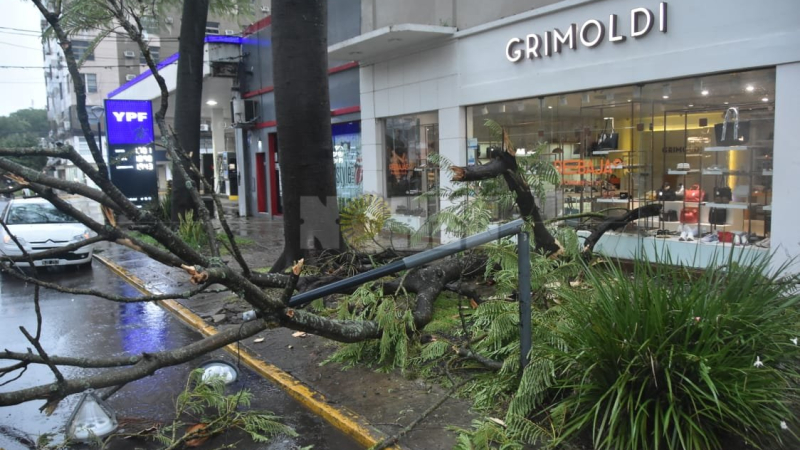 Persiste el alerta amarilla por tormentas: intensas lluvias y daños en Resistencia
