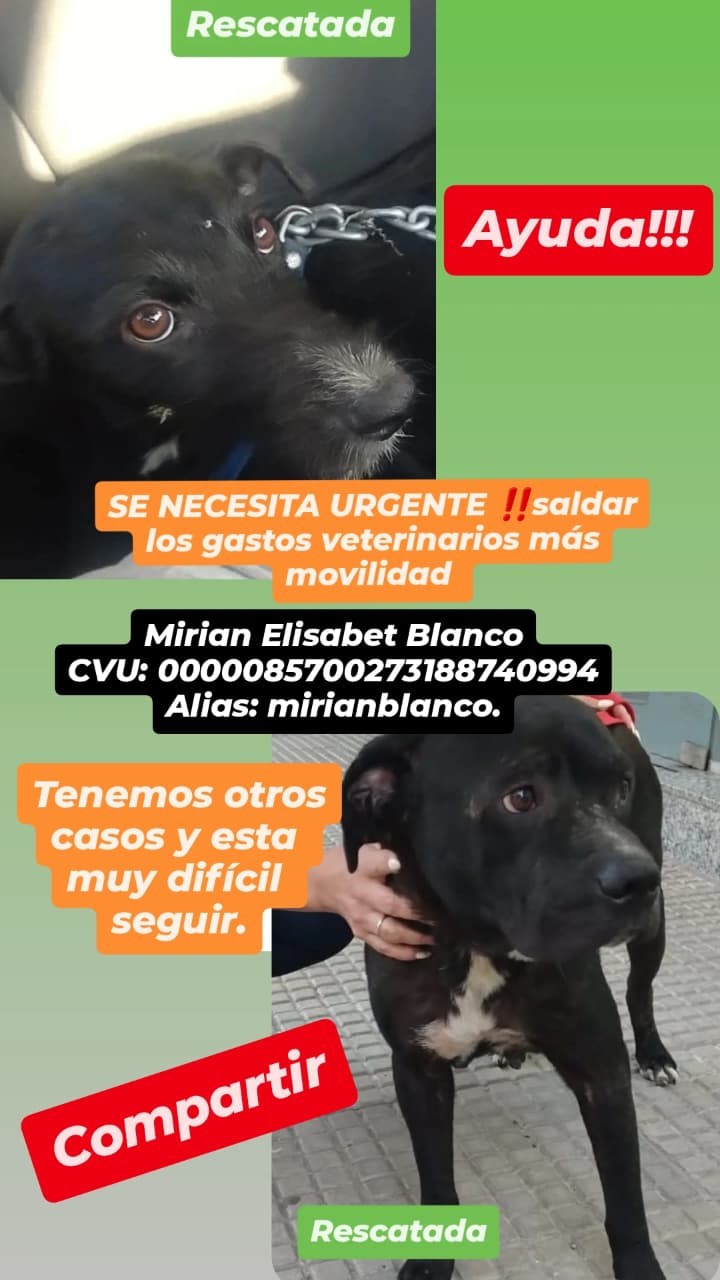 flyer.jpg