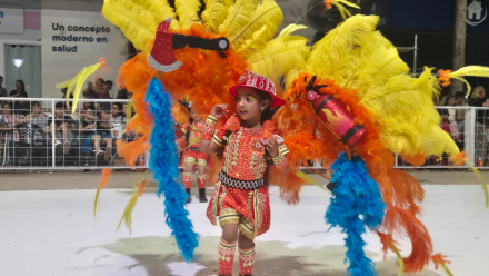Carnaval de Ibarreta.jfif