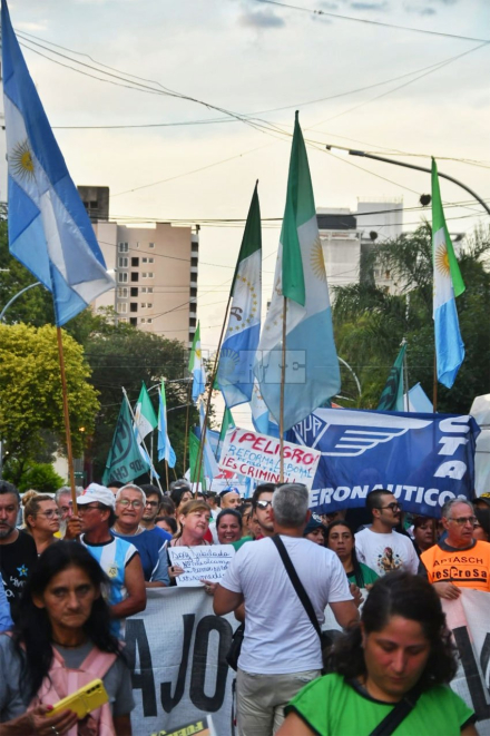marcha4.jpg