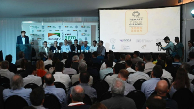 Charata vuelve a recibir el remate de la primicia girasolera