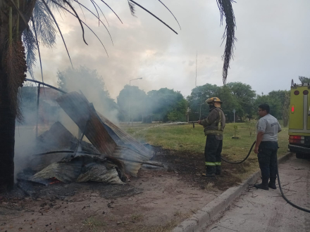 WhatsApp Image 2026-03-04 at 19.20.37