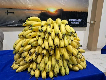 ferias2
