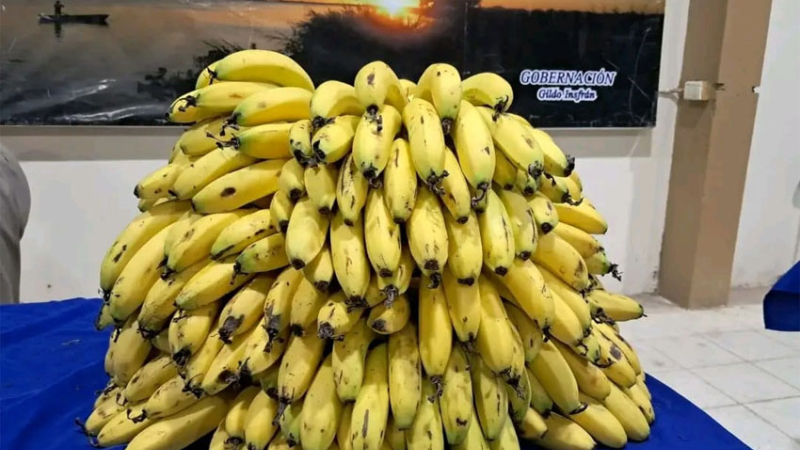 Con productos frescos y de calidad, se desarrolló una nueva edición de las Ferias Paipperas