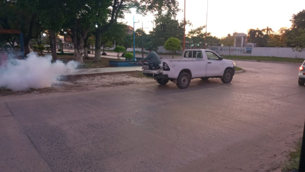 En Clorinda refuerzan la prevención contra el dengue ante la invasión de mosquitos causada por las lluvias y la crecida del río (4).jpeg