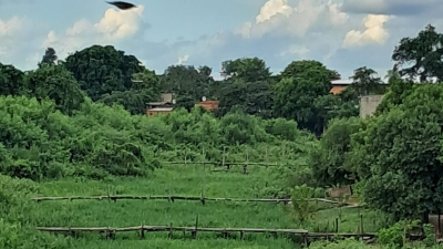 Gendarmería es ineficaz y la frontera queda expuesta