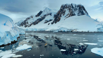 La misteriosa especie que descubrieron en la Antártida: "Totalmente inesperado"