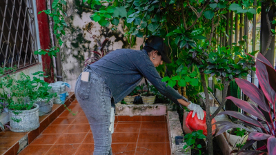 En Formosa también piden a la población reforzar la prevención del dengue