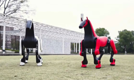 caballo2