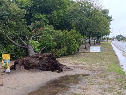 Rápida respuesta de la DPV tras las últimas lluvias (5).jpeg