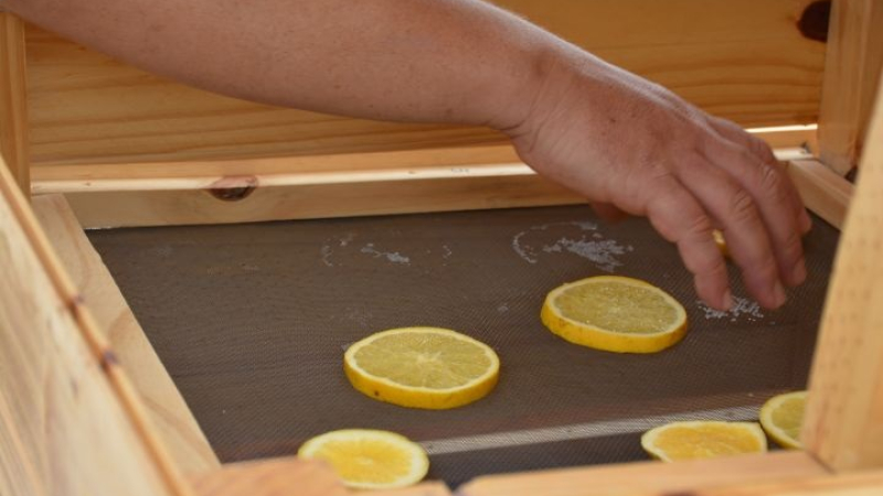 Ingenieros locales desarrollaron un secadero solar de frutas y hortalizas