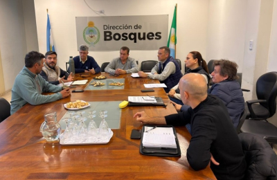 El gobierno inició rondas técnicas para avanzar con el ordenamiento de bosques