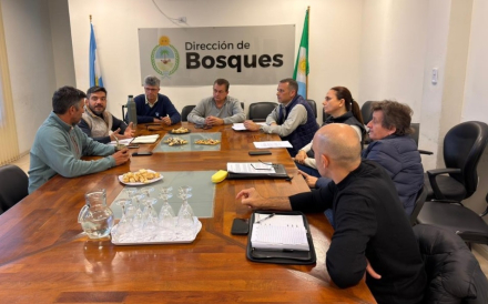 bosques