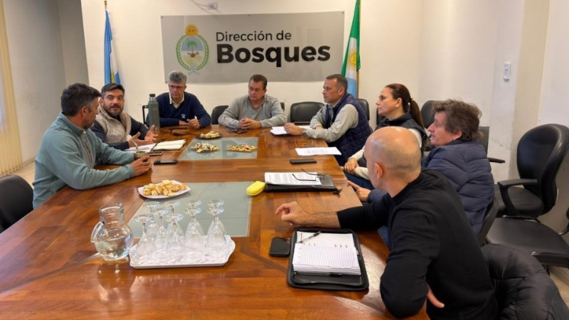 El gobierno inició rondas técnicas para avanzar con el ordenamiento de bosques