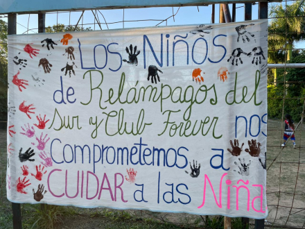 Actividad comunitaria1