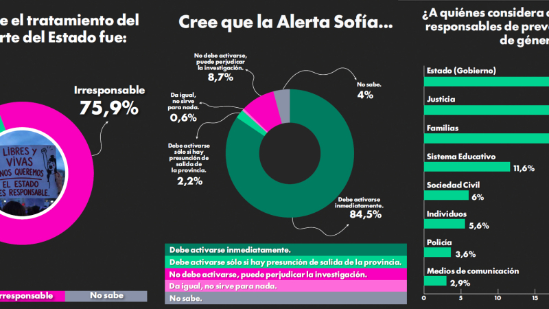 Justicia en la mira: 80% desconfía de los tribunales y 75% califica al Estado como "irresponsable"