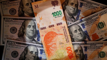 PESOS DÓLARES 2