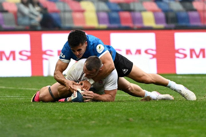 pumas