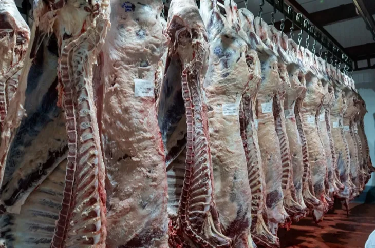 Carne