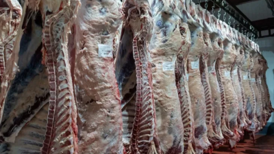 Carne vacuna: exportaciones en alza, consumo en mínimos y alerta climática que preocupa