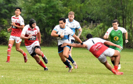 rugby